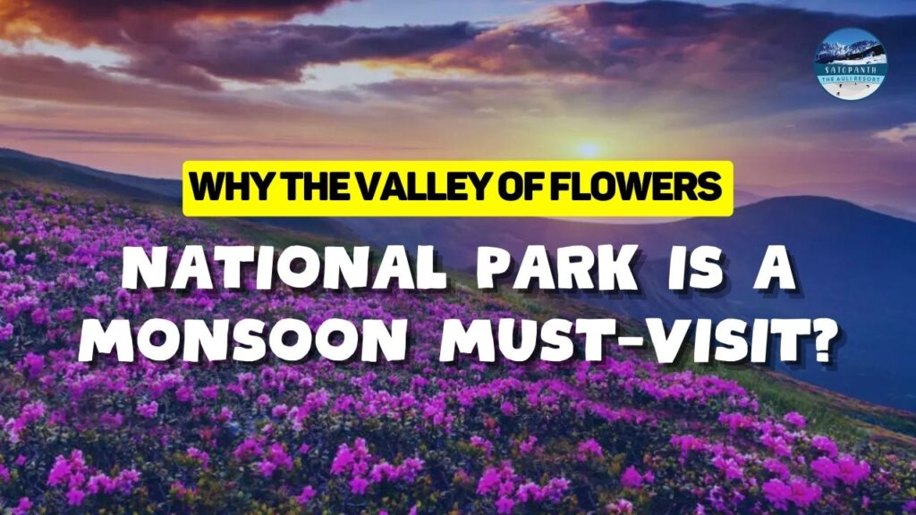 Why Valley of Flowers National Park Is a Monsoon Must-Visit?