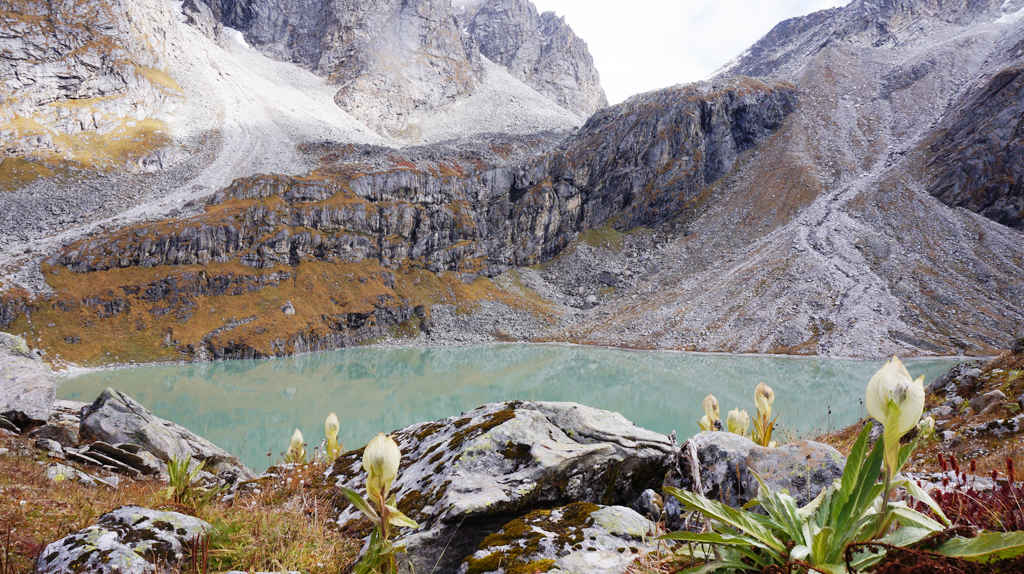 Top 11 Best Places to Visit in Joshimath