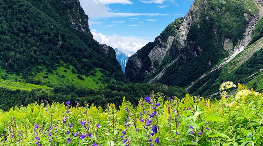 Top 10 Best Places to Visit in Auli