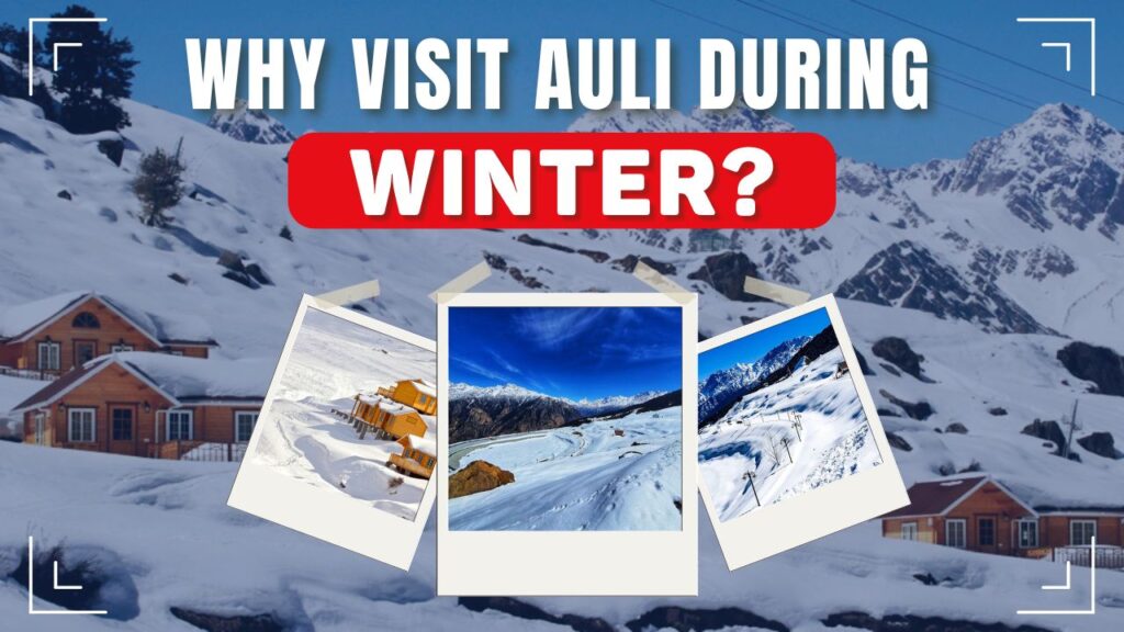 Why Visit Auli During Winter?