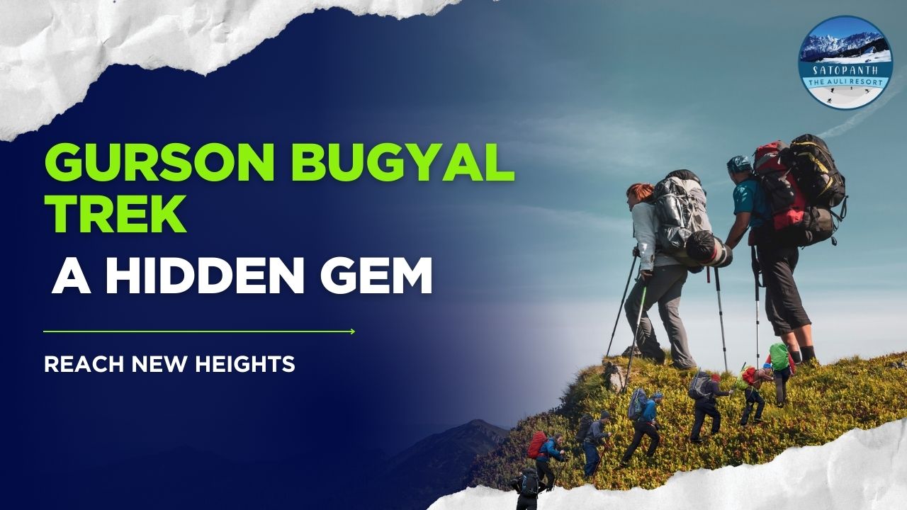 Gurson Bugyal Trek: A Hidden Gem