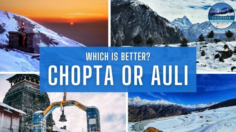 Which is Better, Chopta or Auli? Find Out Which Destination Suits You Best