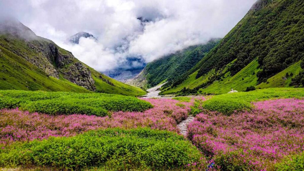 Nanda Devi National Park