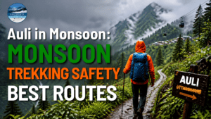 Auli in Monsoon : trekking Safety & Best Routes