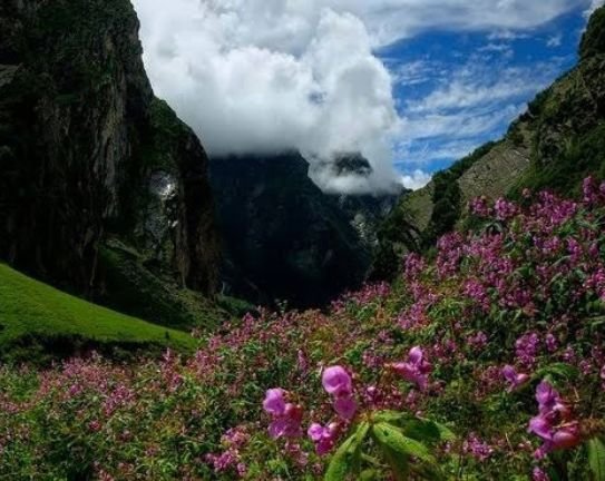 Nanda Devi National Park